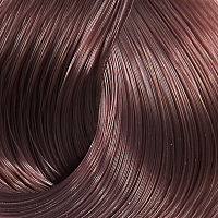 BOUTICLE 